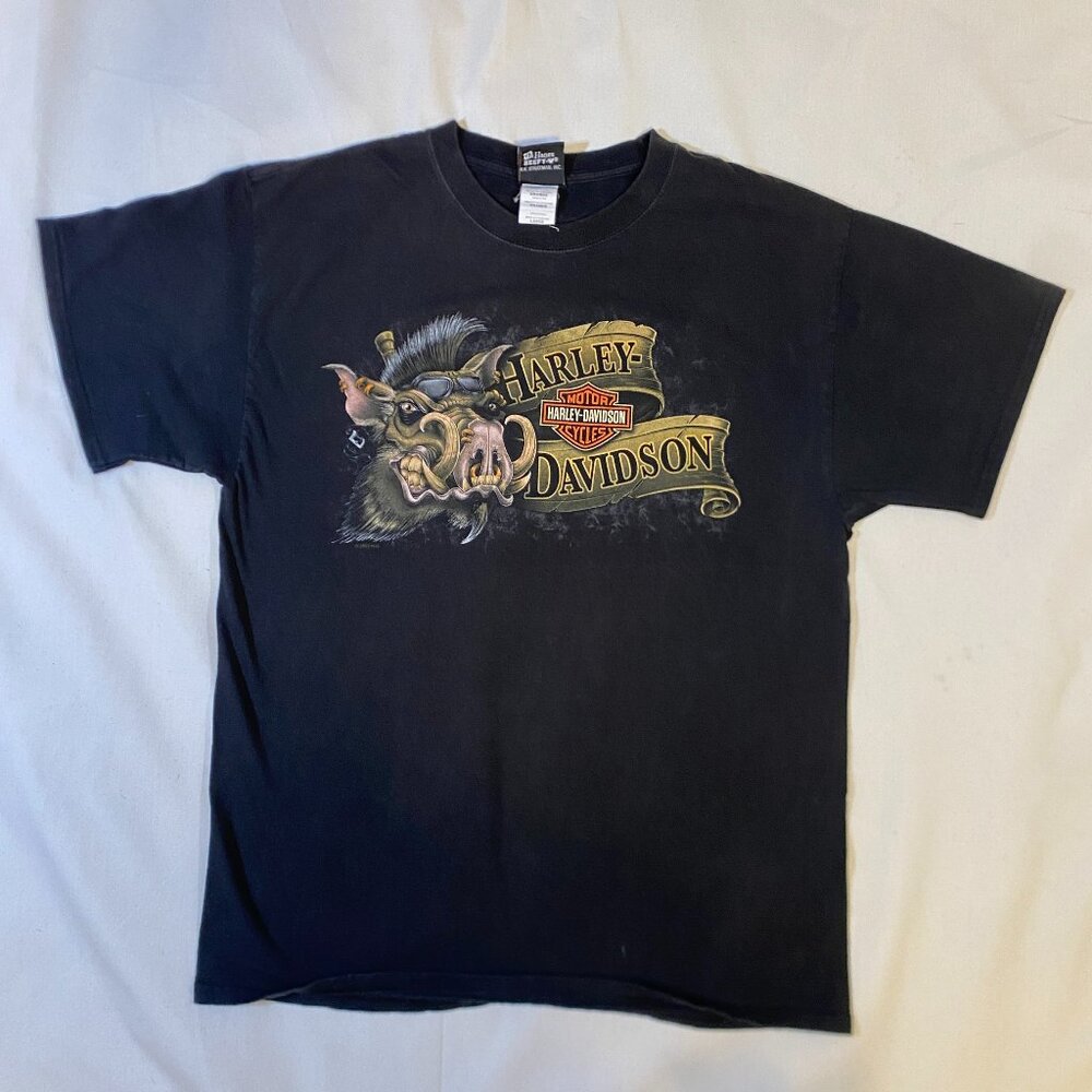 Vintage 2010 Harley-Davidson Mt. Cheaha Oxford Alabama T-Shirt Hog Graphic Black